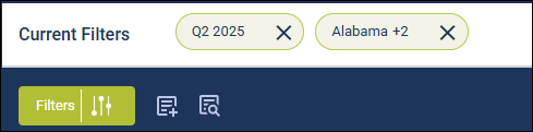 2025-2-0_execover_current_filters.png